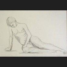 Male Study
